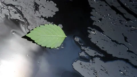 Water runs down the black matte surface Stock Footage 135997720