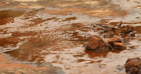 Water Runs on a Stone Stockbeeldmateriaal 335669717