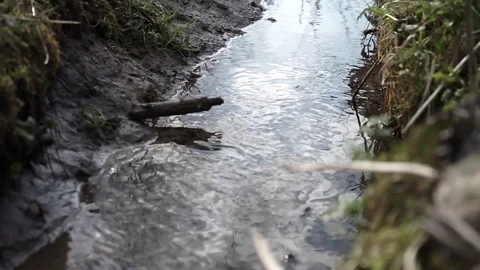 The water runs in a stream Stock Footage 73592346