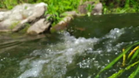 Water runs in a stream Video stock 132301633