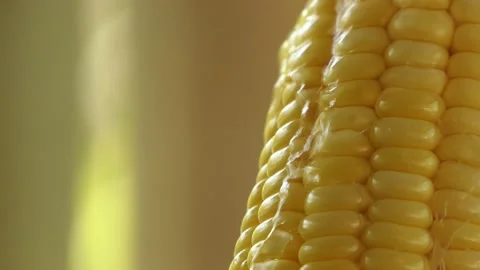 Water runs through the corn Stock Footage 148657632