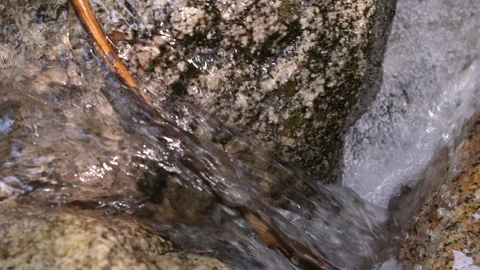 Water rushes down a stream over a twig and rocks Stock-Footage 91708036