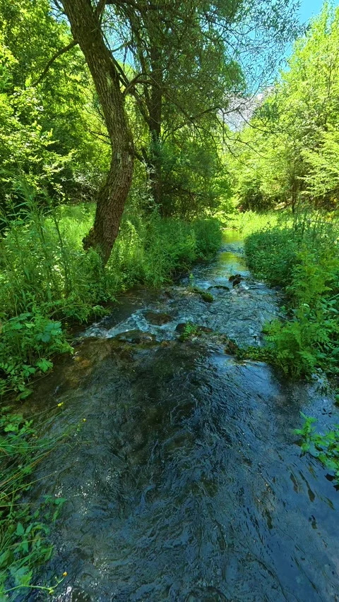 Water rushes gently over smooth stones. Gradasnica River Canyon, Vertical Vidéo 342327214