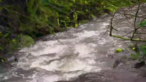 Water rushes with sound Stock Footage