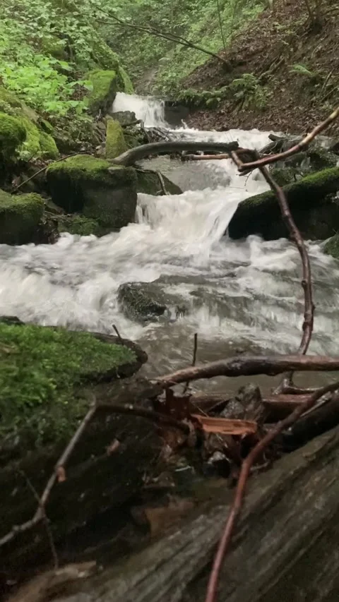 Water Rushing Down a Draw Stock Footage 310859183