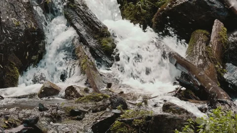 Water rushing down rocks and tree trunks Stock Footage 287900469