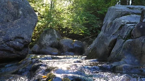 Water rushing down stream beside large rocks beside green forest Stock Footage 62417069