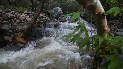 Water rushing down a stream in the mountains Stock Footage 67462025