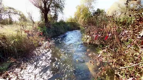 Water rushing Stock Footage 165408809