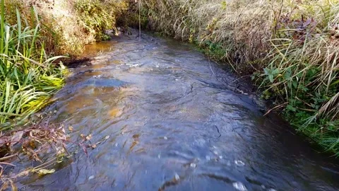 Water rushing Stock Footage 165408945