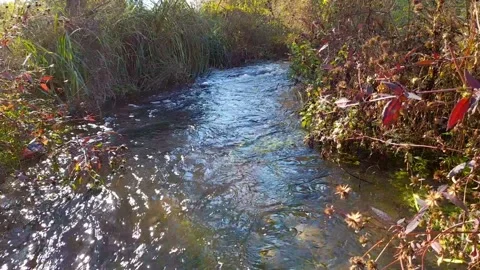 Water rushing Stock Footage 165408963