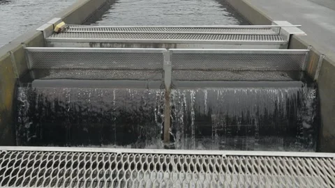 Water Rushing Over Raceway Grates at Fish Hatchery Stock Footage 333071942