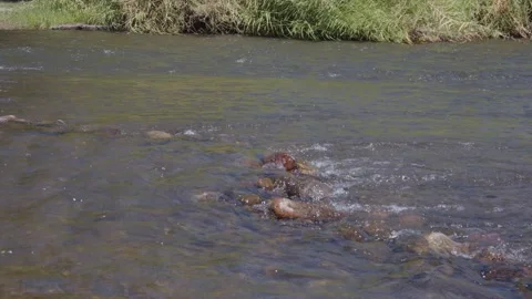 Water Rushing Over River Rocks Close Stock Footage 200799895