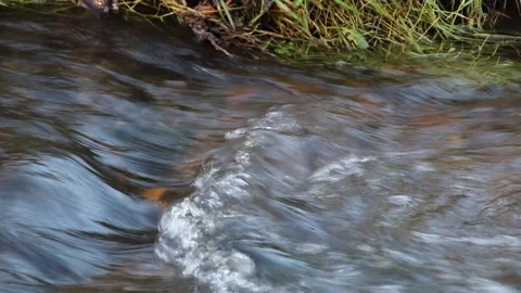 Water rushing over rocks Video stock 146077189