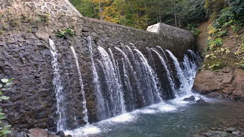 Water rushing through rocks and trees, wild river, Artvin, Karagol, Turkey Stock Footage 230854797