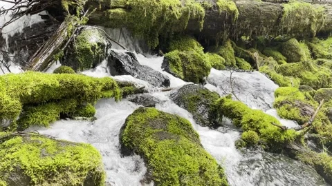 Water rushing through rocks Stock Footage 156664745