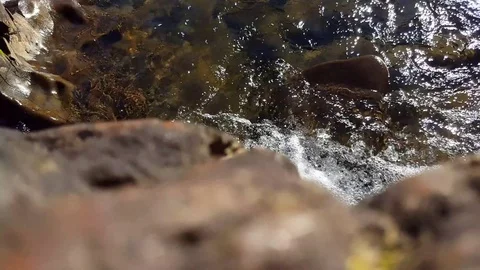 Water rushing through rocks in a river Stock Footage 74062946