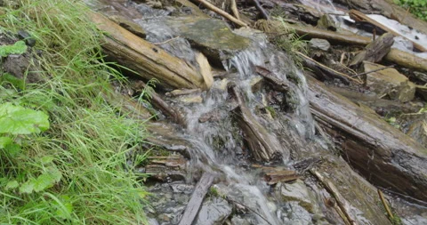 Water rushing through stream close up handheld Stock Footage 137536836