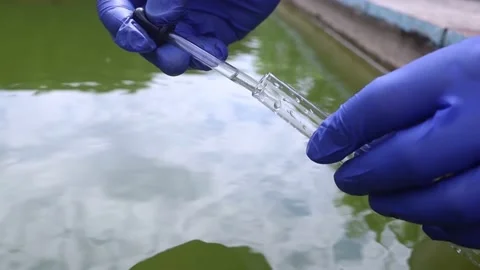 Water sample. Bacterial control of pool water. Checking the amount of algae, har Video stock 204078260