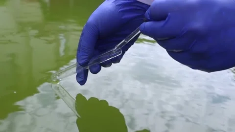 Water sample. Checking the condition of rivers or natural lakes. Water test for  Stock Footage 204078190