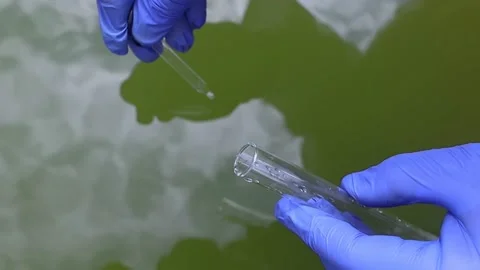 Water sample. Treatment facilities. Quality control of water that has been purif Stock Footage 204078473