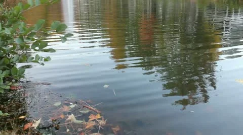 Water Scene Stock-Footage 10900186