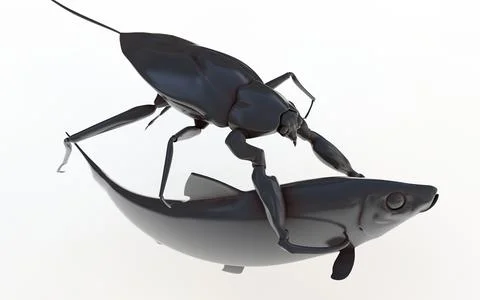 Water Scorpion 3D Model