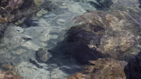 Water in the sea Stock Footage 126538320