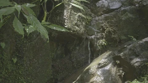 Water Seeping Over Mossy Rocks Stock-Footage 343594204