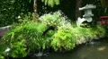 Water Seesaw 20110422 154226 HD Footage