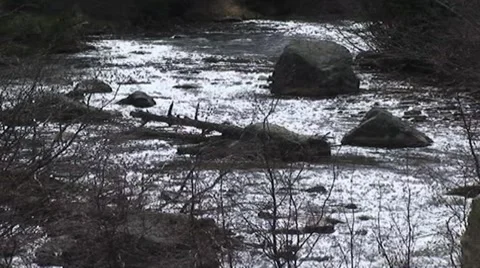 WATER SERIES 1 - MOUNTAIN STREAM Stockbeeldmateriaal 50127486
