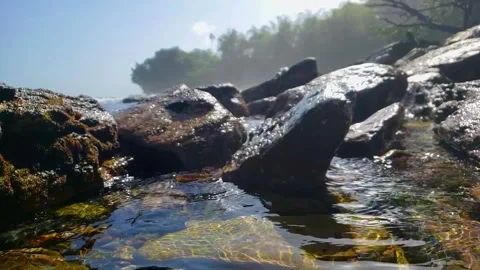 Water settled between rocks- Caribbean Sea, West Indies Pt.01 Stock Footage 141776315