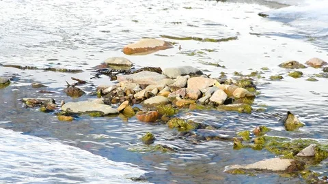 Water in a shallow river in early spring with snow and ice Stock-Footage 106251573