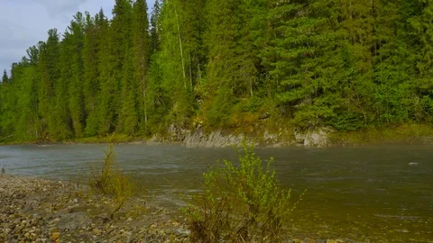 Water shallow at unya river Stock Footage 73305164