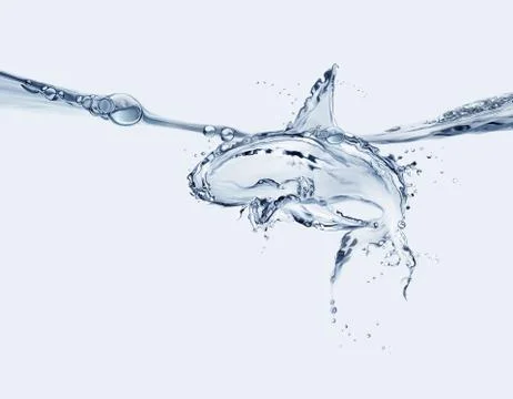 Water Shark Stock Illustration