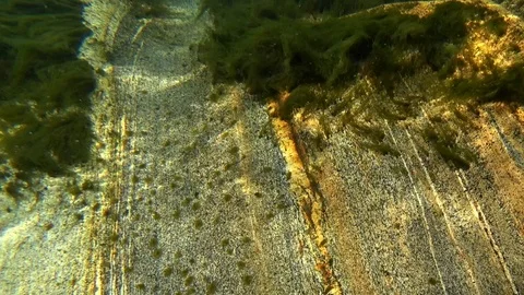 Water sharpens a stone Stock-Footage 121060446