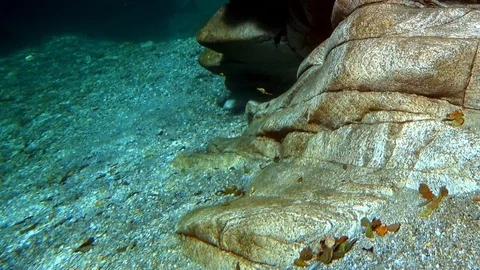 Water sharpens a stone Stock-Footage 121060491