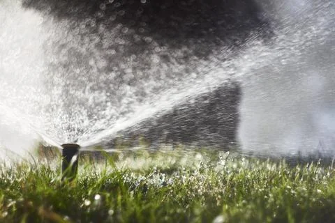 A water shavers on Grass Stock Photos