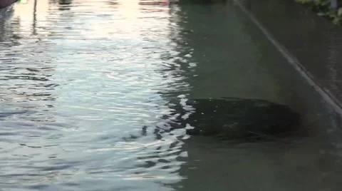 Water Shimmering in Daylight Stock Footage 46010919