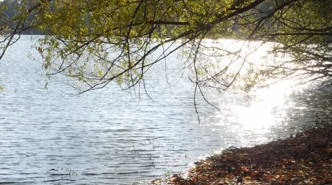 Water Shimmering Stock Footage 60110371