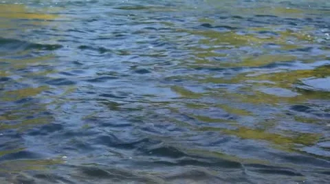 Water shoot 06.mp4 Stock Footage 8927733