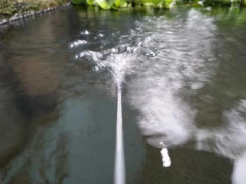 Water shoot Stock-Fotos