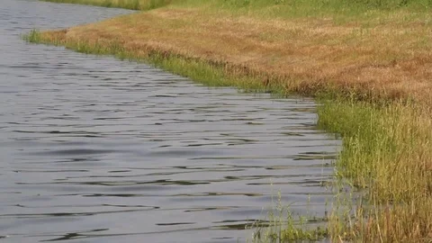 Water on shore CU Video stock 100856057