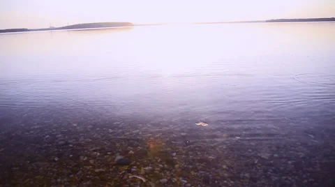 The water on the shore Stock Footage 50568030