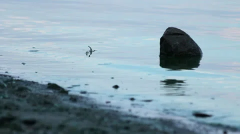 Water Shots Stock-Footage 26305151