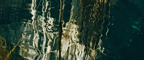 Water in sinkhole Stock Footage 85806646