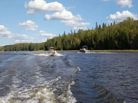 Water Skiing on the River Stock Footage 80164008