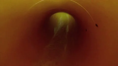 Water slide web camera Stock Footage 12717163