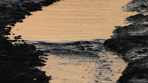 Water slink waddenzee 02 Stockbeeldmateriaal 164034010