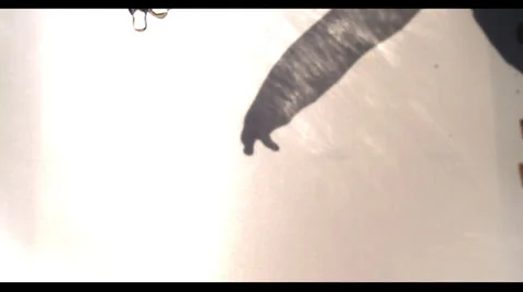 WATER IN SLOW MOTION Stock Footage 25455315